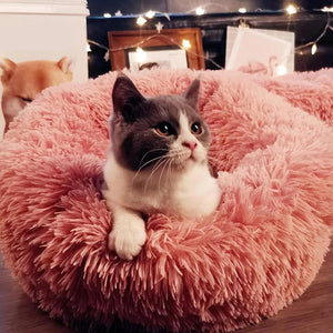 Calming Anti-Anxiety Cat Bed - Snapmart.store