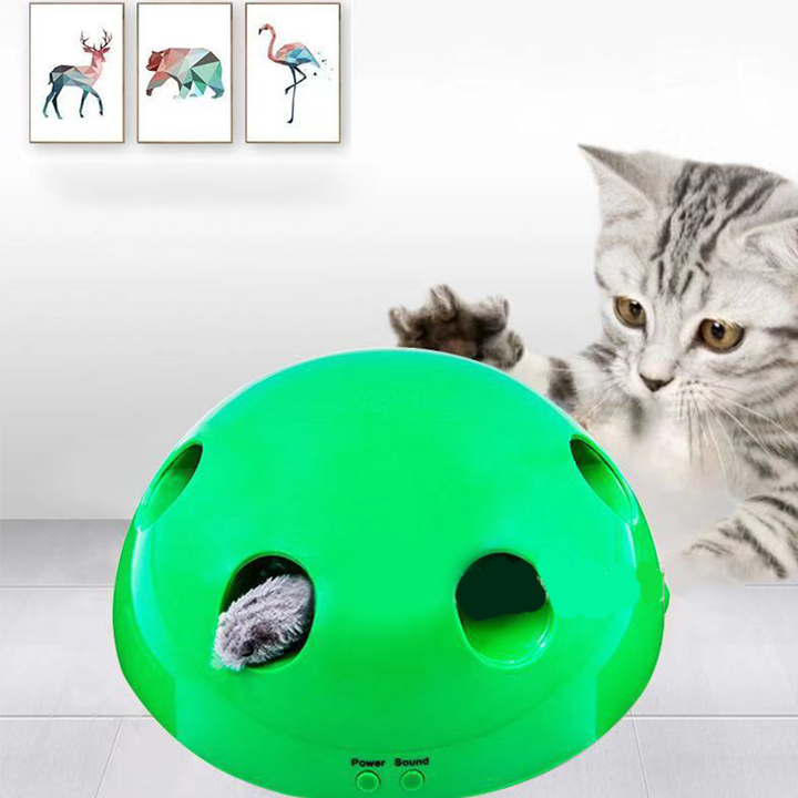 Interactive Motion Cat Toy - Snapmart.store