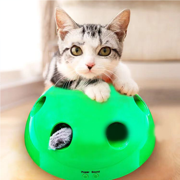 Interactive Motion Cat Toy - Snapmart.store