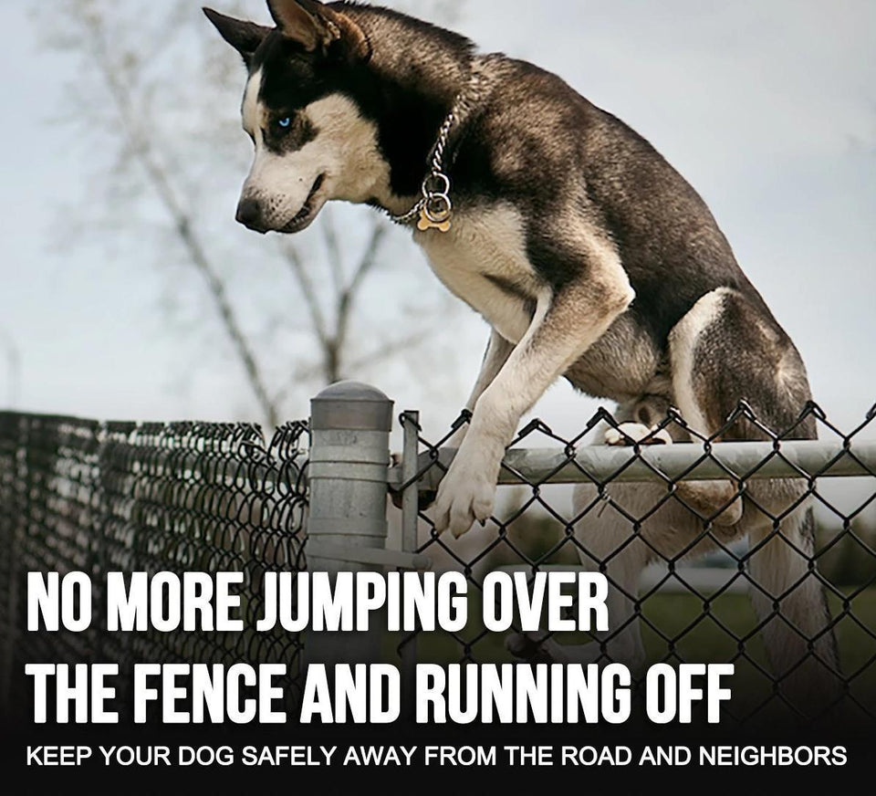 TranStar® Wireless Dog Fence - Snapmart.store