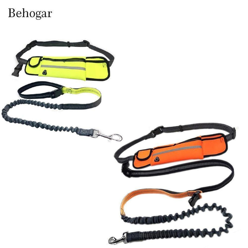 Handsfree Bungee Dog Leash with Waist Bag - Snapmart.store