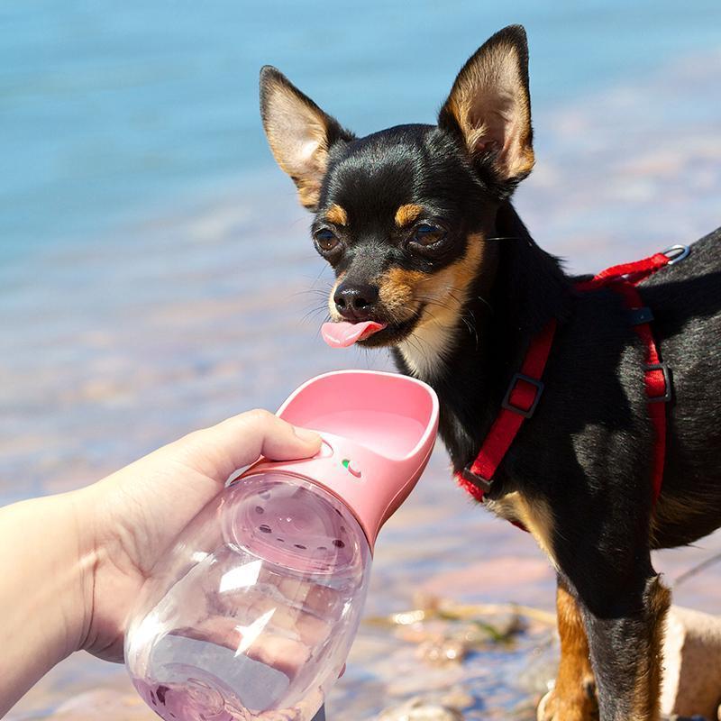 PupBud+ Portable Dog Water Bottle - Snapmart.store