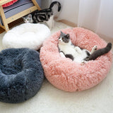 Calming Anti-Anxiety Cat Bed - Snapmart.store