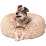 Calming Bed For Dogs, Cats, With Pet Anti-Anxiety - Snapmart.store