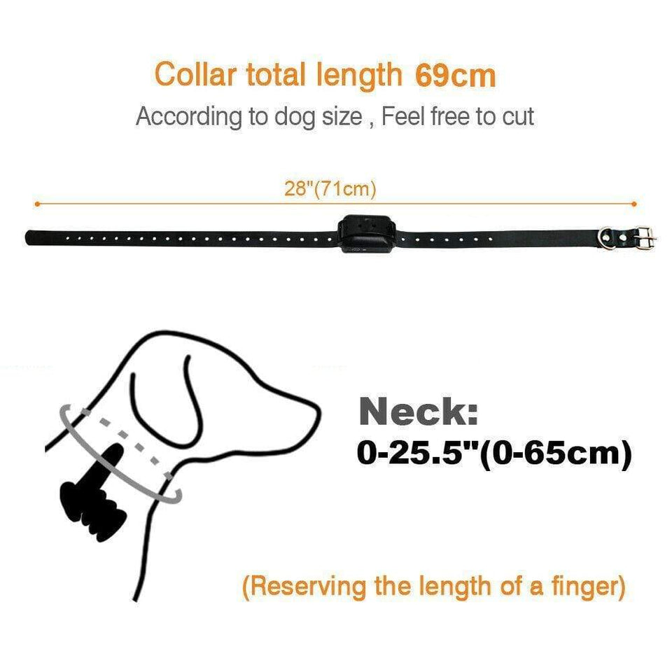 TranStar® Wireless Dog Fence - Snapmart.store