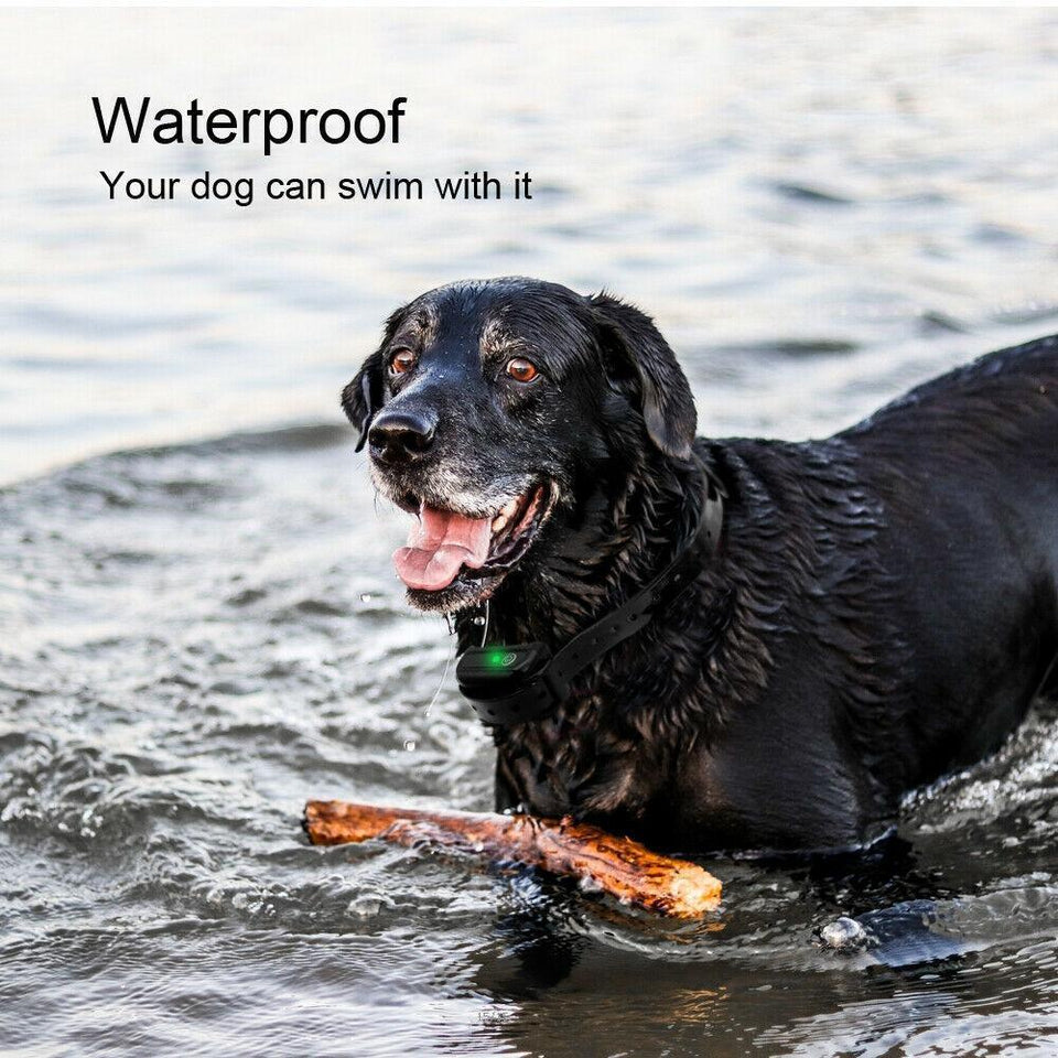TranStar® Wireless Dog Fence - Snapmart.store